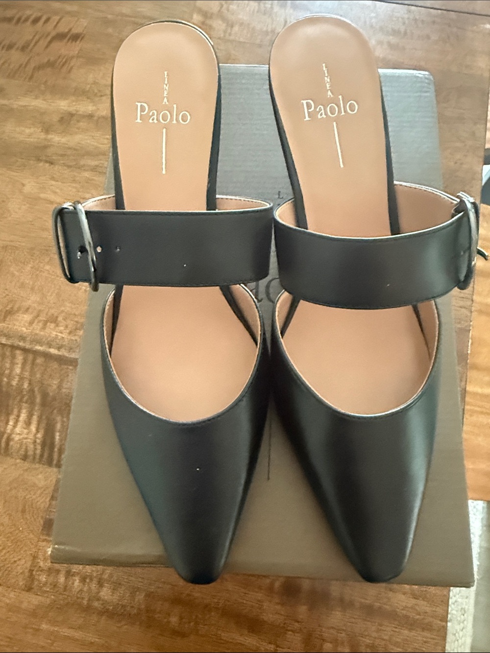 Paolo Black Pointed Buckle-Strap Slide Mules